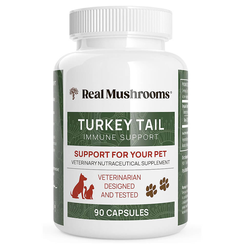 Turkey Tail Pet Support - Dog Multivitamins and Supplements for Immune Support